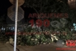 ARIQUEMES: Galho de &aacute;rvore cai sobre muro e interdita Rua Ingazeiro no Setor 01