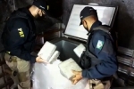 ARIQUEMES: PRF apreende mais de 100 Kg de Skunk dentro de freezer durante abordagem em caminh&atilde;o na BR&ndash;364 &ndash; V&iacute;deos 