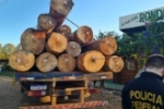 OPERA&Ccedil;&Atilde;O WOOD LAND: PF cumpre Mandados de Busca e Apreens&atilde;o em Rond&ocirc;nia e Mato Grosso por Crimes Ambientais &ndash; V&iacute;deos 