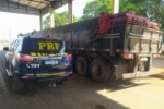 Em Ariquemes/RO, PRF identifica transporte irregular de madeira