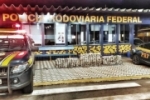 Nova apreens&atilde;o de droga &eacute; realizada pela Pol&iacute;cia Rodovi&aacute;ria Federal em Rondon&oacute;polis/MT