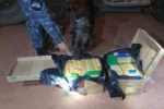 PMRO apreende mais de 116kg de entorpecente durante Opera&ccedil;&atilde;o H&oacute;rus