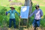 Dia de Campo leva t&eacute;cnicas de produ&ccedil;&atilde;o de cacau tecnificado para produtores de Ariquemes