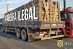 Em Porto Velho, PRF identifica transporte irregular de madeira