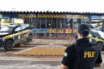 PRF prende casal de Rond&ocirc;nia e apreende carga com mais de 220 quilos de pasta base de coca&iacute;na em Mato Grosso