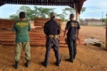 Pol&iacute;cia Federal deflagra opera&ccedil;&atilde;o contra extra&ccedil;&atilde;o irregular de madeira da Floresta Amaz&ocirc;nica