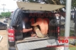 ARIQUEMES: PM e NI prendem 02 elementos ap&oacute;s roubar casa no Jardim das Pedras