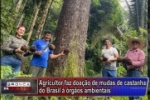 Agricultor faz doa&ccedil;&atilde;o de mudas de Castanha do Brasil para &oacute;rg&atilde;os ambientais em Ariquemes  &ndash; V&iacute;deo