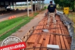 Em Ariquemes/RO, PRF identifica transporte irregular de madeira; atividade faz parte da Opera&ccedil;&atilde;o Guardi&ocirc;es do Bioma