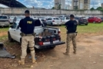 Em Porto Velho/RO, em Operação Conjunta, PRF e Polícia Civil apreendem mais de 30 KG de Cocaína