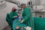 Doa&ccedil;&atilde;o de &oacute;rg&atilde;os permite a realiza&ccedil;&atilde;o de cerca de cinco transplantes de c&oacute;rnea em m&eacute;dia por m&ecirc;s em Rond&ocirc;nia