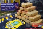 V&Iacute;DEO: Casal de Traficantes &eacute; preso pela PRF com 16kg de drogas em Ariquemes na BR 364