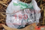 ARIQUEMES: Traficante foge da PM e abandona tablete e 28 inv&oacute;lucros de Maconha no Setor 10