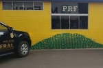 PF e PRF prendem motorista com 310 quilos de coca&iacute;na em Vilhena &ndash; V&iacute;deo
