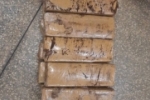NARCO BRASIL II! Polícia Civil apreende 8 kg de maconha em Vilhena–RO