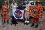 ARIQUEMES: Empres&aacute;rio desaparecido &eacute; encontrado com vida no meio da mata fechada &ndash; C&atilde;o do Corpo de Bombeiros farejou rastro da v&iacute;tima