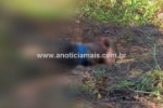 Polícia Militar localiza corpo com indícios de espancamento e provável início de carbonização