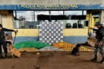 No primeiro dia de rodovias livres em Rond&ocirc;nia, PRF e PMRO apreendem 304 Kg de Coca&iacute;na