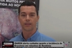 IDARON alerta cuidados quanto a incid&ecirc;ncia de brucelose em rebanhos de Rond&ocirc;nia &ndash; V&iacute;deos 