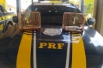 PRF apreende aves silvestres sendo transportadas ilegalmente