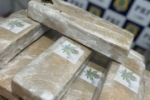 Em Ariquemes a Pol&iacute;cia Rodovi&aacute;ria Federal apreende 23 Kg de Maconha