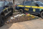 Em Porto Velho/RO, PRF e PM apreendem mais de 100 Kg de drogas ilícitas