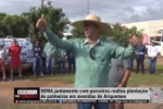 SEMA juntamente com parceiros realiza planta&ccedil;&atilde;o de palmeiras em avenidas de Ariquemes &ndash; V&Iacute;DEO