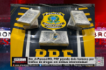 Em Ji Paran&aacute; RO, PRF prende dois homens por tr&aacute;fico de drogas em &ocirc;nibus interestadual &ndash; V&Iacute;DEO
