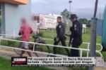 PM recupera no Setor 02 Serra M&aacute;rmore furtada Objeto seria trocado por drogas &ndash; V&Iacute;DEO