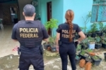 ARIQUEMES URGENTE: Pol&iacute;cia Federal deflagra opera&ccedil;&atilde;o de combate ao abuso sexual infantil e prende suspeito em flagrante