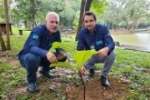 Parque Bot&acirc;nico de Ariquemes recebe o plantio de mudas da &aacute;rvore Coccoloba Gigantifolia  