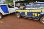 PRF apreende 1,4 tonelada de maconha e recupera veículo em Terenos (MS)