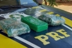 Em Guajar&aacute;&ndash;Mirim/RO, PRF apreende drogas il&iacute;citas
