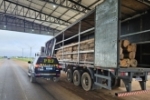 Em Ariquemes/RO, PRF identifica transporte irregular de madeira