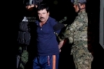 Filhos de 'El Chapo' alimentavam tigres com pessoas vivas, diz investigação