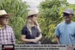 Caf&eacute; tecnificado &eacute; tem&aacute;tica de Dia de Campo realizado pela Prefeitura para agricultores em Ariquemes