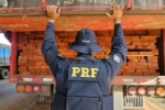 Em Ariquemes/RO, PRF identifica transporte irregular de madeira