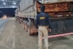 Em Ariquemes/RO, PRF identifica transporte irregular de madeira