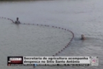 Secretaria de Agricultura de Ariquemes acompanha despesca no S&iacute;tio Santo Ant&ocirc;nio &ndash; V&Iacute;DEO