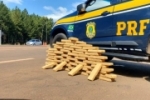 Em patrulhamento de rotina a Pol&iacute;cia Rodovi&aacute;ria Federal fez a apreen&ccedil;&atilde;o de quase 50 quilos de maconha