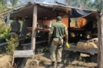 PF deflagra operação em combate aos invasores de terras indígenas em Rondônia – Vídeo 