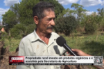 Propriedade rural investe em produtos org&acirc;nicos e &eacute; assistida pela Secretaria de Agricultura &ndash; Video 