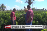 Secretaria de Agricultura visita planta&ccedil;&atilde;o de caf&eacute; do Sr. Jos&eacute; &ndash; V&iacute;deo 