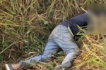Agricultor mata desafeto na área Rural de Alto Paraíso – Vídeo