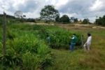 Sedam desenvolve trabalhos para controle efetivo do desmatamento em Rond&ocirc;nia