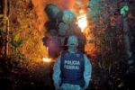 Polícia Federal realiza operação contra desmatamento ilegal em terra indígena