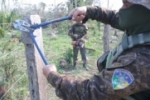 A&ccedil;&otilde;es da Opera&ccedil;&atilde;o Mapinguari efetuam apreens&otilde;es e refor&ccedil;am seguran&ccedil;a no Parque Estadual de Guajar&aacute;&ndash;Mirim