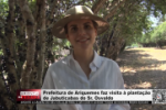 Prefeita de Ariquemes Carla Redano faz visita &agrave; planta&ccedil;&atilde;o de Jabuticabas do Sr. Osvaldo &ndash; V&iacute;deo