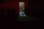 Assassinos encapuzados prendem mãe e padrasto no banheiro e executam jovem na porta da sala, em Parecis
