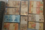 PF deflagra operação contra crime organizado em Rondônia